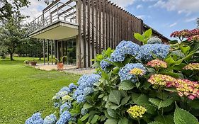 Casa Levis